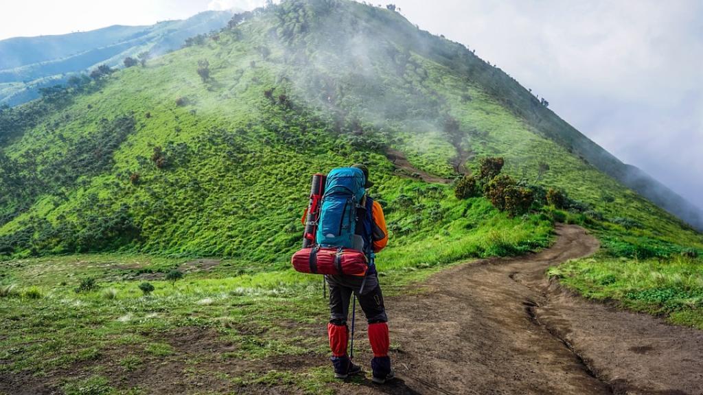 Rainforest Tours Guided Hiking