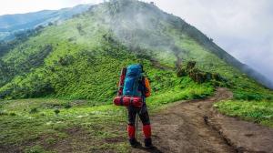 Little Tree Adventures | Bucksport, Maine | Hiking & Trekking