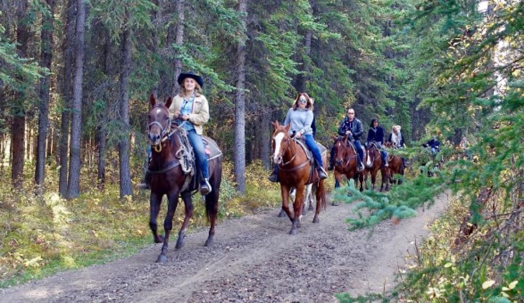 Outback Trail Rides