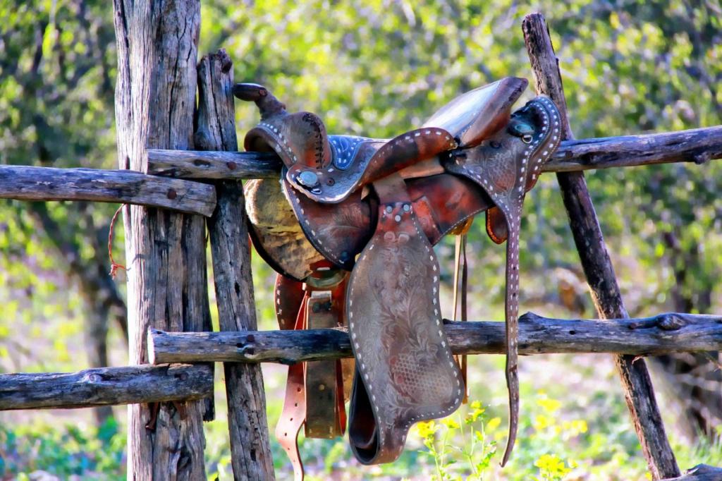 Horse and Barrel