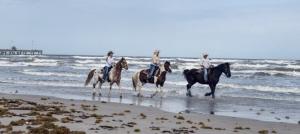 Spendthrift Charters | Vernon Hills, Illinois | Horseback Riding & Dude Ranches