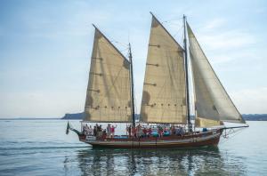 Skydive The Ranch | Gardiner, New York | Sailing