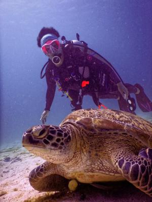 Scuba Cat Diving takes you to the Similans | Phuket, Thailand | Scuba Diving & Snorkeling