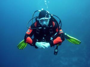 Illinois Skydiving Center | Paxton, Illinois | Scuba Diving & Snorkeling