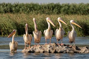 Great Lakes Eco-Adventure Center | Indian River, Michigan | Eco Tours