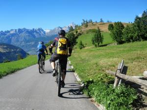 Manzanita Bike Tours  | Napa, California | Bike Tours