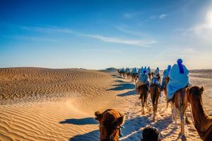 Camel Trekking in Merzouga MOROCCO | Merzouga, Morocco | Camel Riding