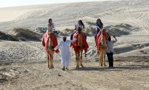 India Desert (camel) Safari. | Jodhpur, India | Camel Riding