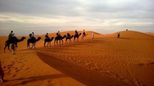 Camel Trekking in Merzouga MOROCCO | Merzouga, Morocco | Camel Riding