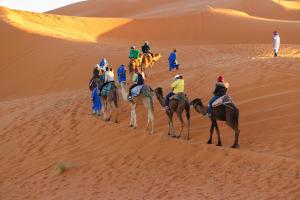 India Desert (camel) Safari. | Jodhpur, India | Camel Riding