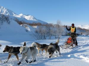 Yukon Wilderness Adentures- Dog sledding- Fishing | Carcross, Yukon Territory | Dog Sledding