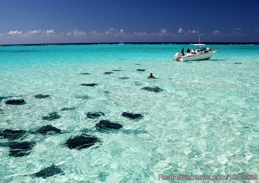 Stingray city | Cayman Breeze Luxury Beachfront Condo at Rum Point | Image #12/20 | 