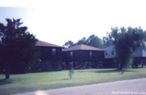 Dauphin Island Willow Tree Cottage