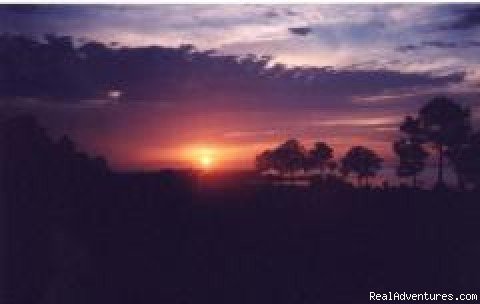 Sunset | Dauphin Island Willow Tree Cottage | Image #2/4 | 