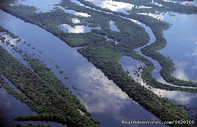 Amazon, Brazil | brol - Travel to Brazil with Experts | Image #6/7 | 