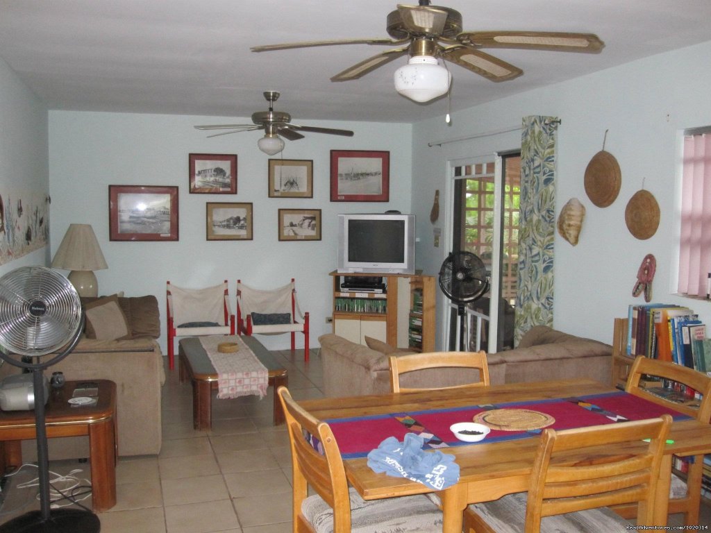 Living room | Remote island ocean front Villa | Image #3/18 | 