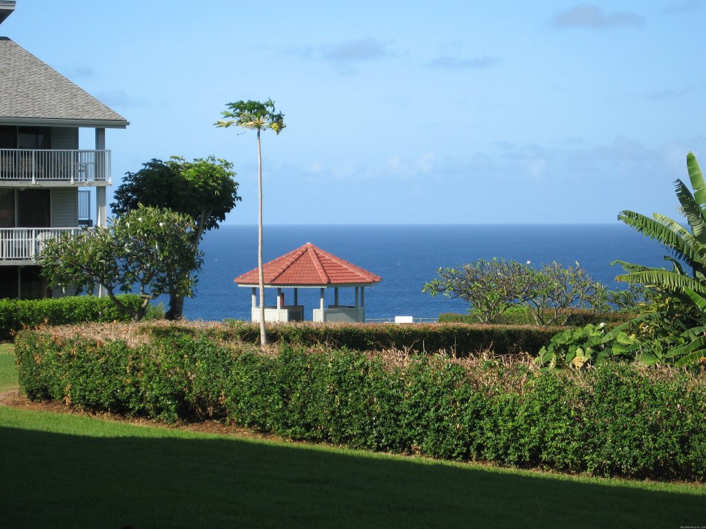 Cliffs Gazebo and Grills | Cliff's Honeymoon Condo Princeville, Kauai, Hawaii | Image #19/23 | 