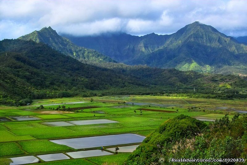 Hanalei Valley Lookout from Princeville, Kauai | Cliff's Honeymoon Condo Princeville, Kauai, Hawaii | Image #23/23 | 