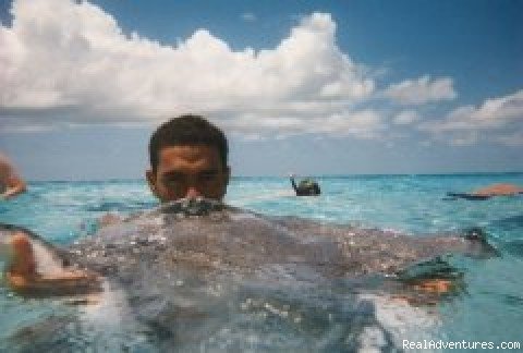 Andy kissing his stingray girlfriend | Three Points Villa | Rum Point, Cayman Islands | Hotels & Resorts | Image #1/4 | 