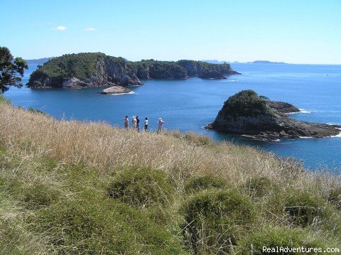 Nature and coast tour | Kiwi Dundee Adventures Ltd.     New Zealand | Tairua, New Zealand | Sight-Seeing Tours | Image #1/1 | 