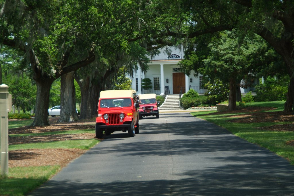 Carolina Safari Jeep Tours-a great adventure | Myrtle Beach, South Carolina  | Wildlife & Safari Tours | Image #1/2 | 