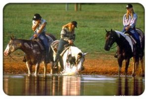 Southern Cross Guest Ranch