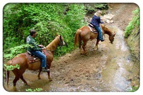 Crossing a stream