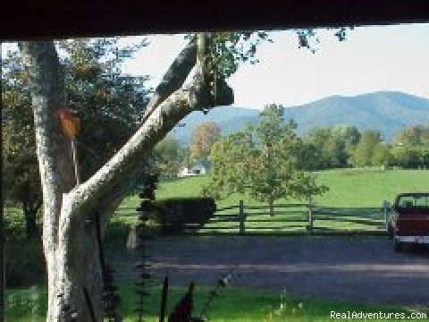 Photo #5 | Fairlea Farm Bed and Breakfast | Image #5/5 | 