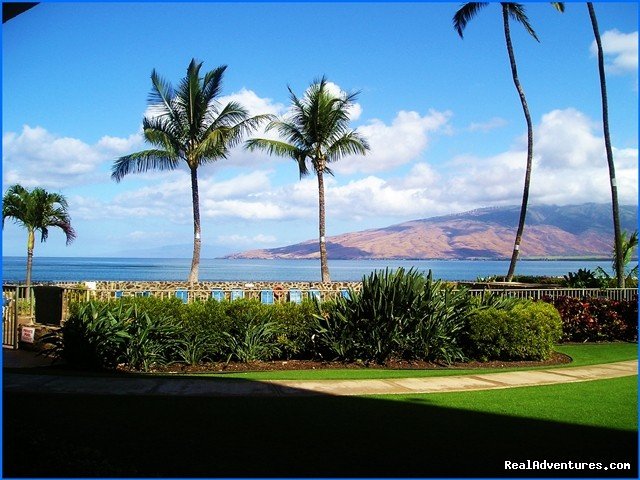 Pool In Moonlight | Ocean Breeze Hideaway--maui Oceanfront Condo | Image #3/5 | 