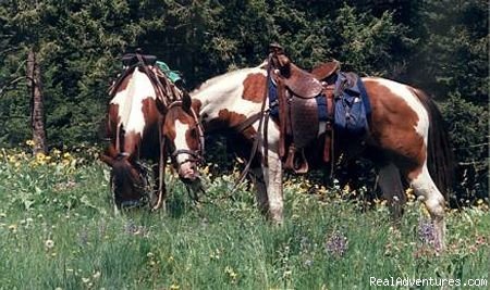 Ready to Ride! | Discover The Rich Ranch Outfitting And Guest Ranch | Image #7/14 | 