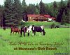 Discover The Rich Ranch Outfitting And Guest Ranch | Seeley Lake, Montana