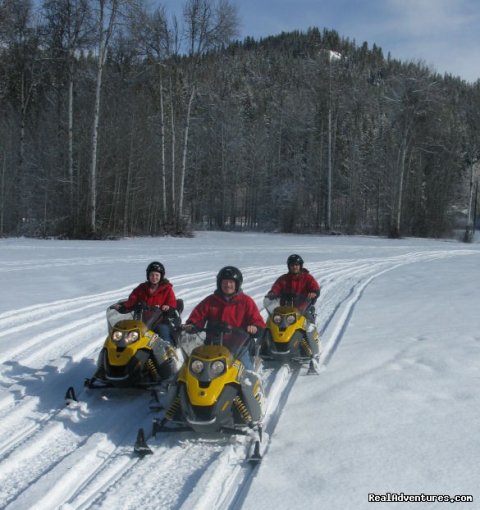 Snowmobile Tours