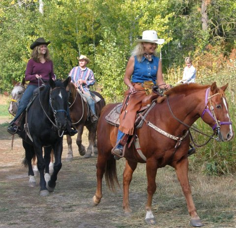 Horseback Rides