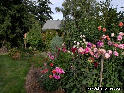 Kangaroo House B&b On Orcas Island | Image #12/14 | 