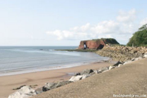 Dawlish Warren Beach | Langstone Cliff Hotel, Dawlish Warren, Dawlish | Image #13/21 | 