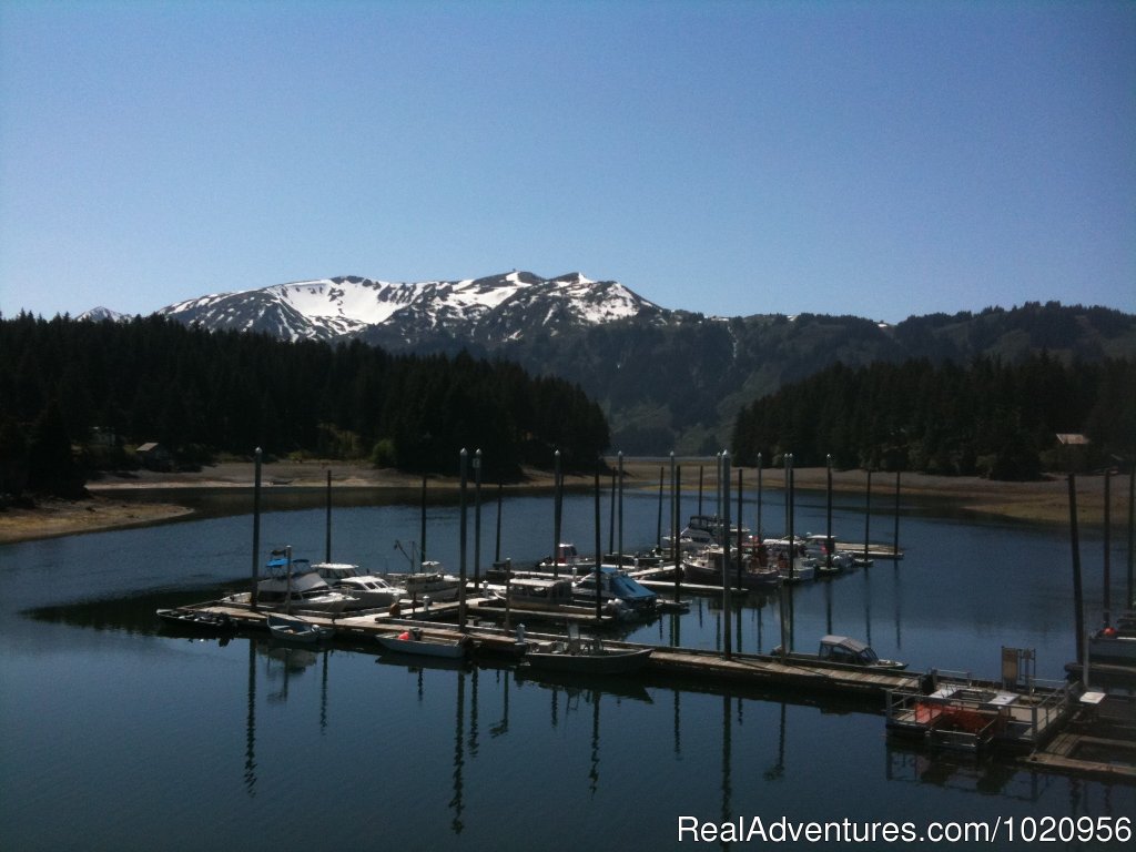 Seldovia Marina | Historic & scenic Seldovia Alaska Bed & Breakfast | Image #13/14 | 