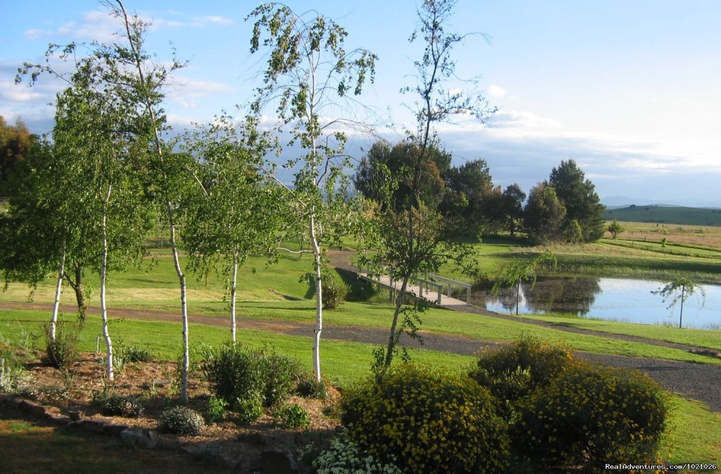 The view from the apartment deck | Romantic Buttercup Cottage & Private Apartment | Image #3/6 | 