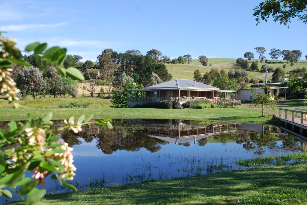 A very full dam after a very wet winter | Romantic Buttercup Cottage & Private Apartment | Image #5/6 | 