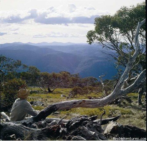 Photo #1 | Hidden Hostels off the Beaten Track | Snowy Mountains, Australia | Bed & Breakfasts | Image #1/4 | 