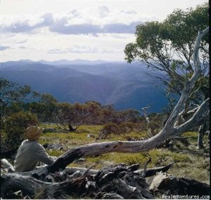 Hidden Hostels off the Beaten Track | Snowy Mountains, Australia | Bed & Breakfasts