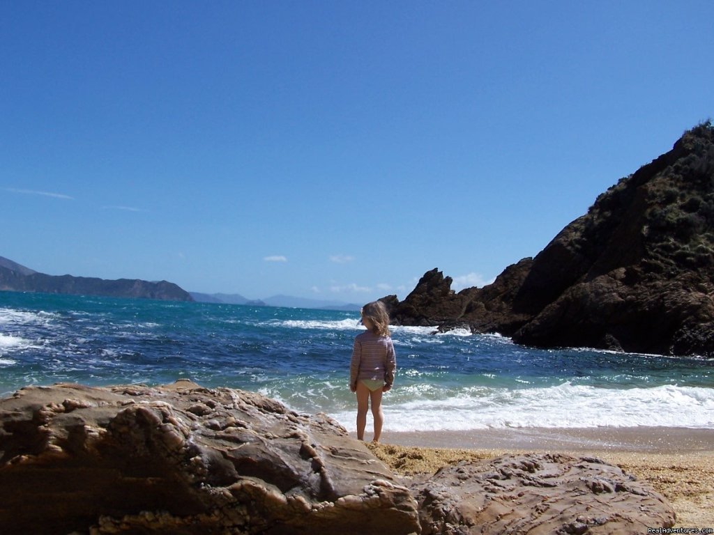 Sandy beach Cape Jackson | Queen Charlotte Wilderness Park | Marlborough, New Zealand | Eco Tours | Image #1/1 | 