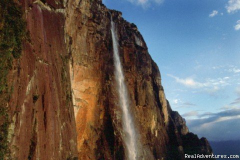 Angel Falls Adventure