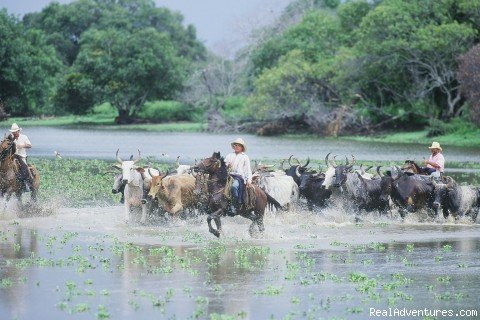 Los Llanos | Natoura Travel &  Adventure tours in Venezuela | Image #7/7 | 