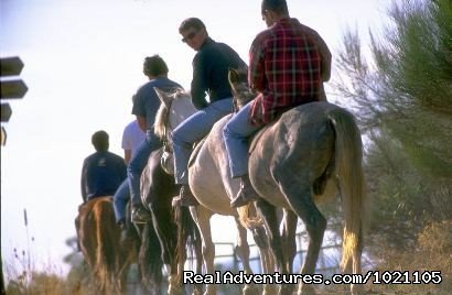 Horse riding tours and coaching programs | Barcelona : Walking, Hiking & Trekking Tours | Barcelona, Spain | Hiking & Trekking | Image #1/5 | 