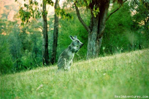 Private Wildlife Sanctuary