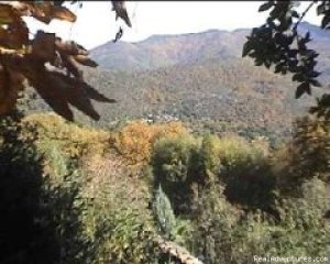 Guest house in the National Parc of Cevennes