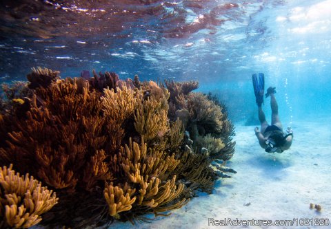 Snorkeling in Belize