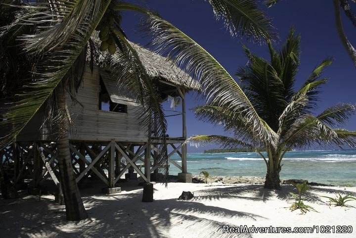 Long Caye at Glover's Reef island cabana | Belize Adventure Island, Glover's Reef | Image #3/13 | 