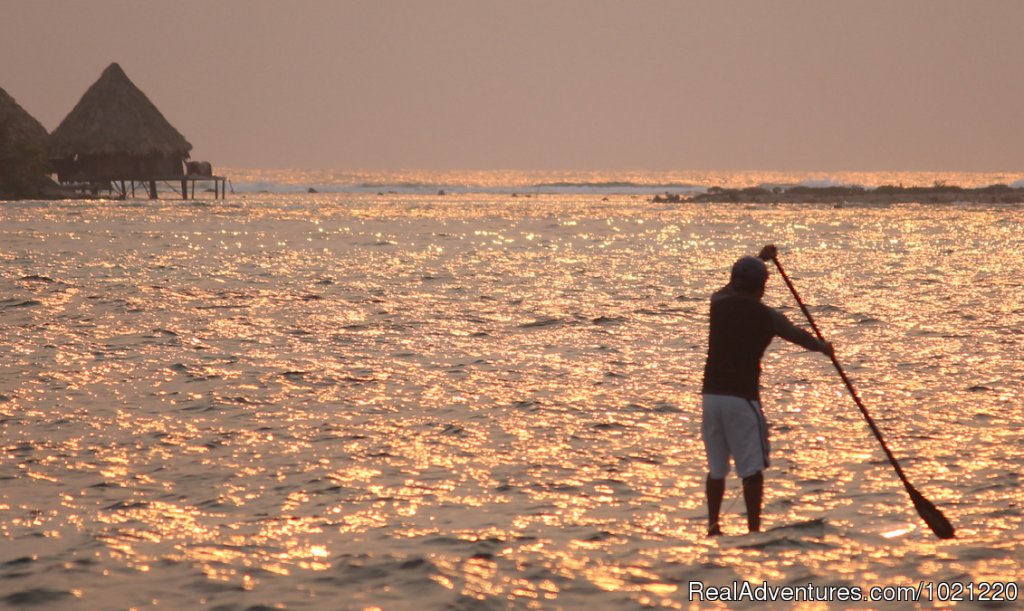 Paddleboarding at Glover's Reef, Belize | Belize Adventure Island, Glover's Reef | Image #11/13 | 