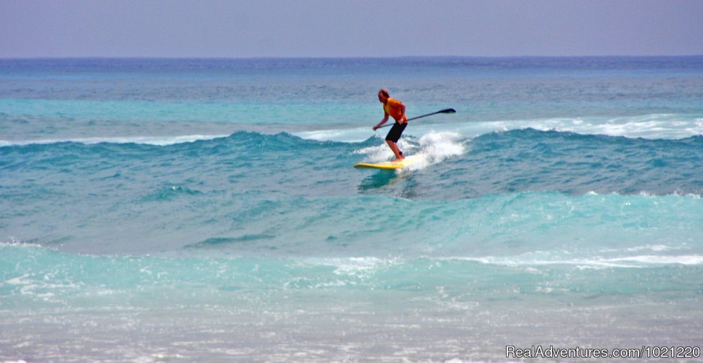 SUP Belize | Belize Adventure Island, Glover's Reef | Image #2/13 | 